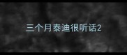 三个月泰迪很听话