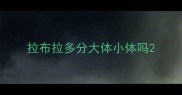 拉布拉多分大体小体吗