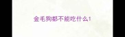 金毛狗都不能吃什么