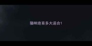 猫咪绝育多大适合