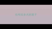 拉布拉多犬的笼子
