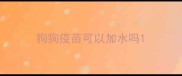 狗狗疫苗可以加水吗