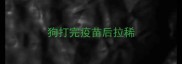 狗打完疫苗后拉稀