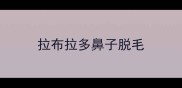 拉布拉多鼻子脱毛