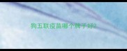 狗五联疫苗哪个牌子好