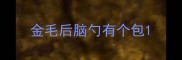 金毛后脑勺有个包