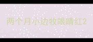 两个月小边牧眼睛红