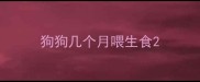 狗狗几个月喂生食