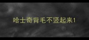 哈士奇背毛不竖起来