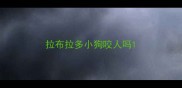 拉布拉多小狗咬人吗