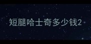 短腿哈士奇多少钱