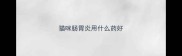 猫咪肠胃炎用什么药好