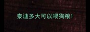 泰迪多大可以喂狗粮