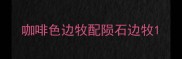 咖啡色边牧配陨石边牧