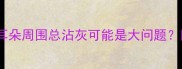 养猫人注意耳朵周围总沾灰可能是大问题附专业清洁指南