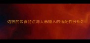 边牧的饮食特点与大米摄入的适配性分析
