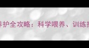 5个月大德国牧羊犬养护全攻略科学喂养训练技巧与常见问题解答