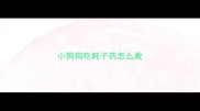 小狗狗吃耗子药怎么救