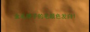金毛脖子的毛颜色发白
