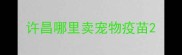 许昌哪里卖宠物疫苗