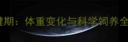 边境牧羊犬80天成长关键期体重变化与科学饲养全指南附发育曲线图
