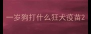 一岁狗打什么狂犬疫苗