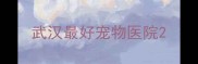 武汉最好宠物医院