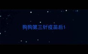 狗狗第三针疫苗后