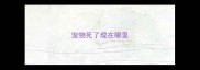 宠物死了埋在哪里