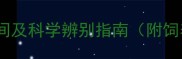 豚鼠分公母时间及科学辨别指南附饲养管理要点