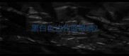 黑白色边牧蓝眼睛