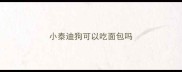 小泰迪狗可以吃面包吗
