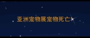 亚洲宠物展宠物死亡