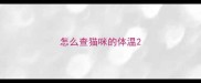 怎么查猫咪的体温
