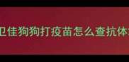 卫佳狗狗打疫苗怎么查抗体