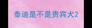 泰迪是不是贵宾犬