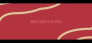 猫咪与猫咪之间呜呜