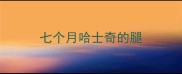 七个月哈士奇的腿