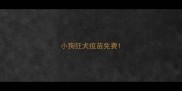 小狗狂犬疫苗免费