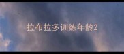 拉布拉多训练年龄