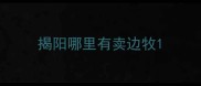 揭阳哪里有卖边牧