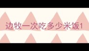 边牧一次吃多少米饭