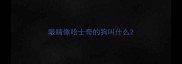 眼睛像哈士奇的狗叫什么