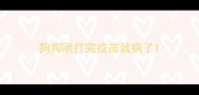 狗狗刚打完疫苗就病了