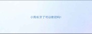 小狗长牙了可以断奶吗