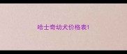 哈士奇幼犬价格表