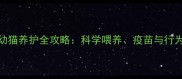 三个月大幼猫养护全攻略科学喂养疫苗与行为训练指南