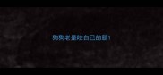 狗狗老是咬自己的腿