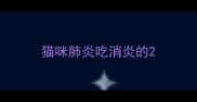 猫咪肺炎吃消炎的