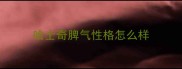 哈士奇脾气性格怎么样